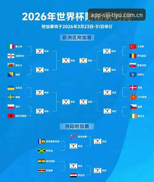 3大世界杯观赛危机：签证、保证金与地缘政治如何影响球迷出行？