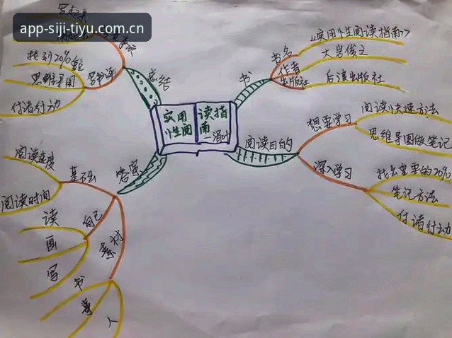 揭秘四季体育替代站点常见问题：你不可不知的实用指南